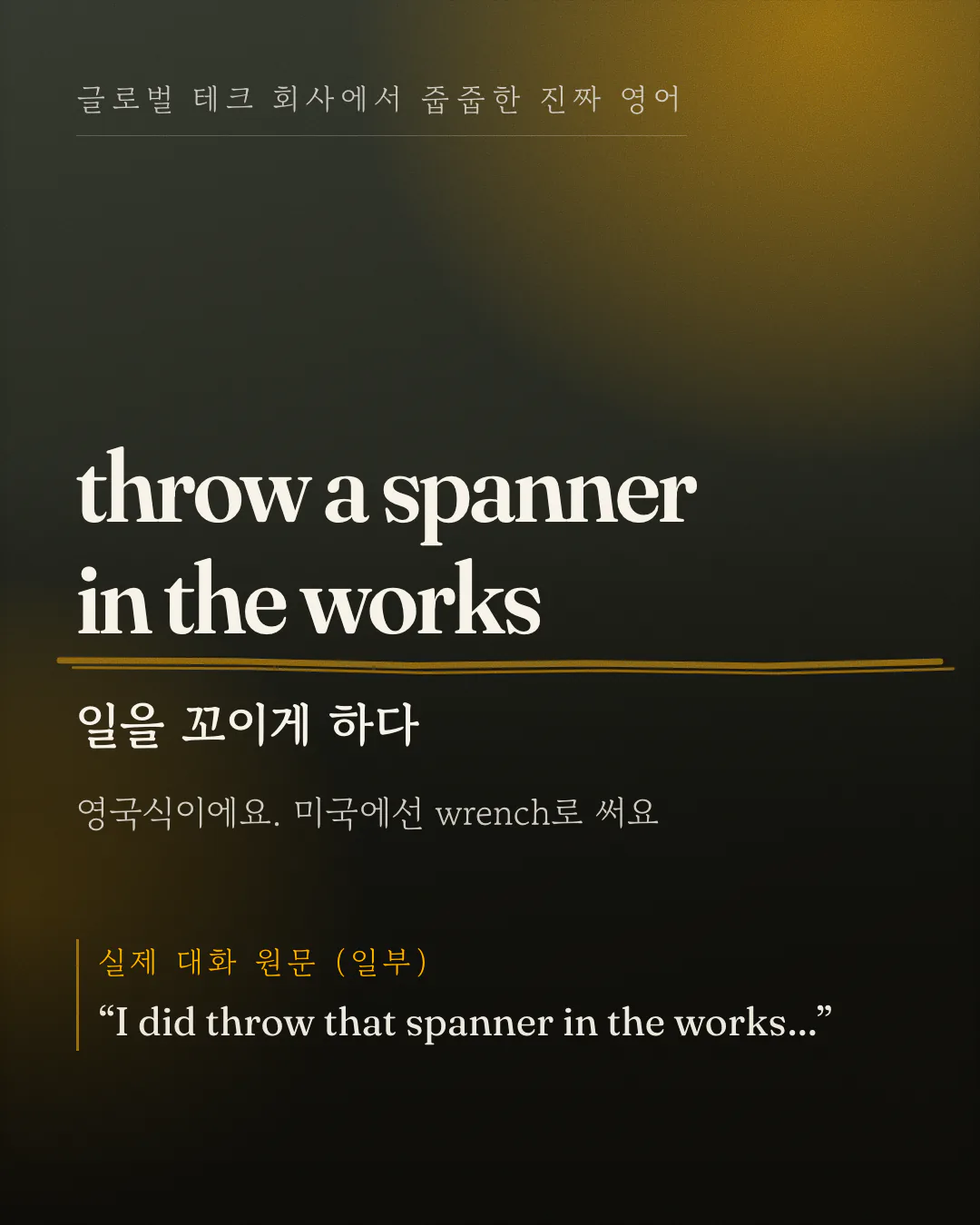 표지 카드예요. 영어 표현 throw a spanner in the works가 크게 놓이고 그 아래 '일을 꼬이게 하다'라는 한국어 뜻과 '영국식이에요. 미국에선 wrench로 써요'라는 한 줄이 따라와요. 맨 아래에 '실제 대화 원문 (일부)'라는 라벨과 함께 문장 하나가 인용돼 있어요.